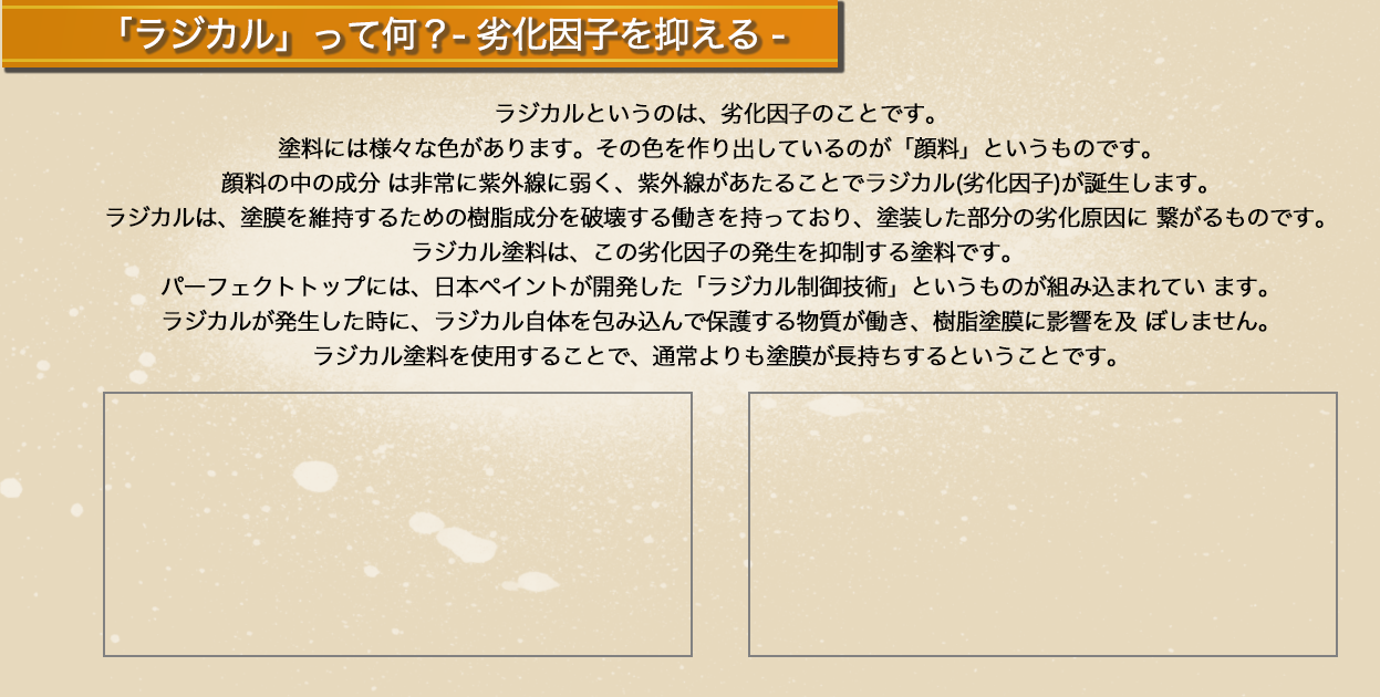 ラジカルって何?
